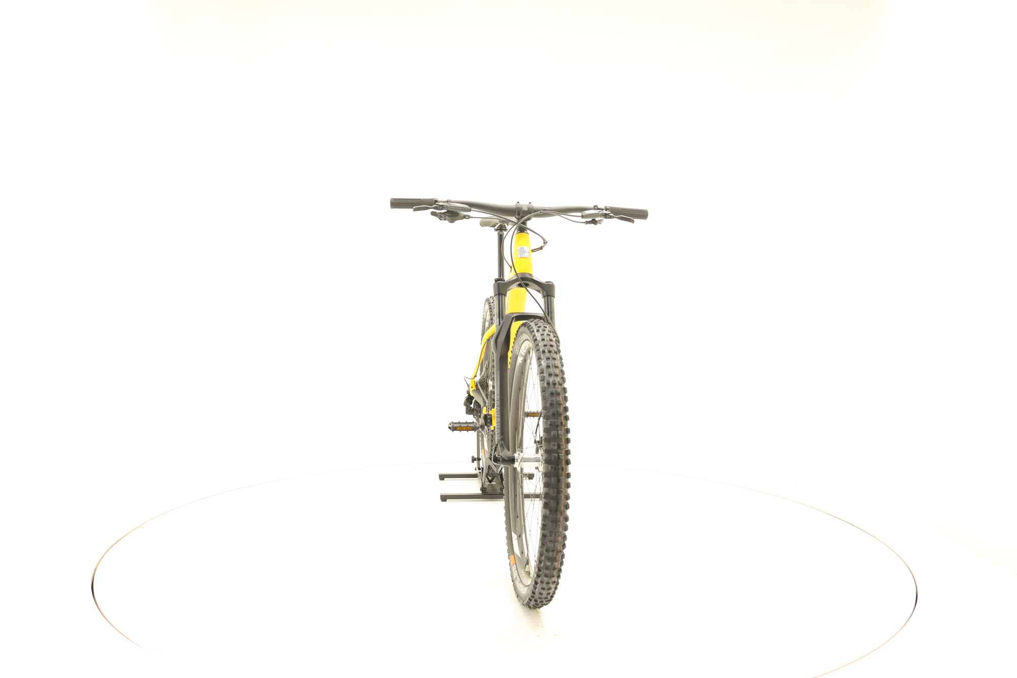 Santa Cruz Chameleon