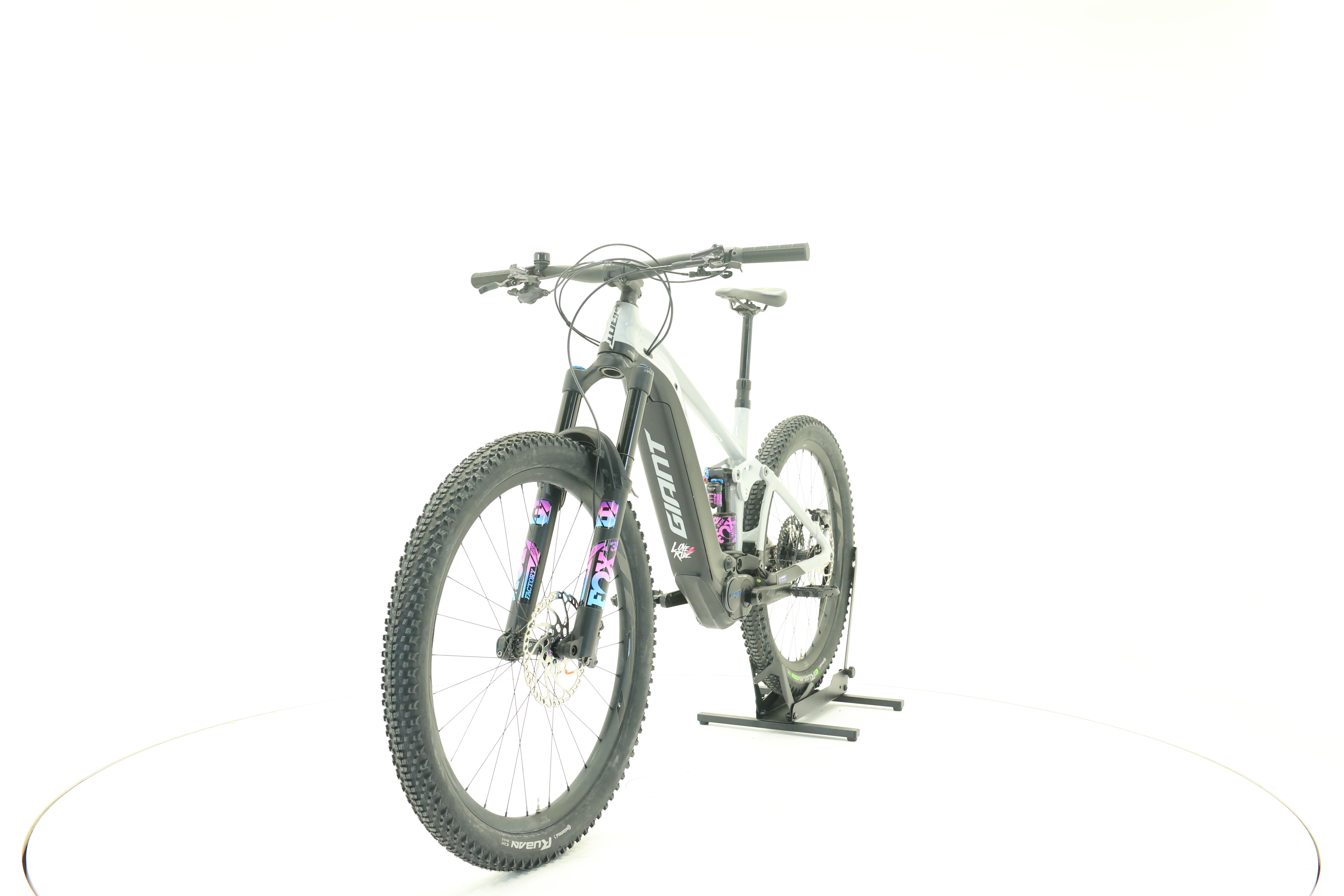 GIANT Reign E+1 Pro 750 Mullet
