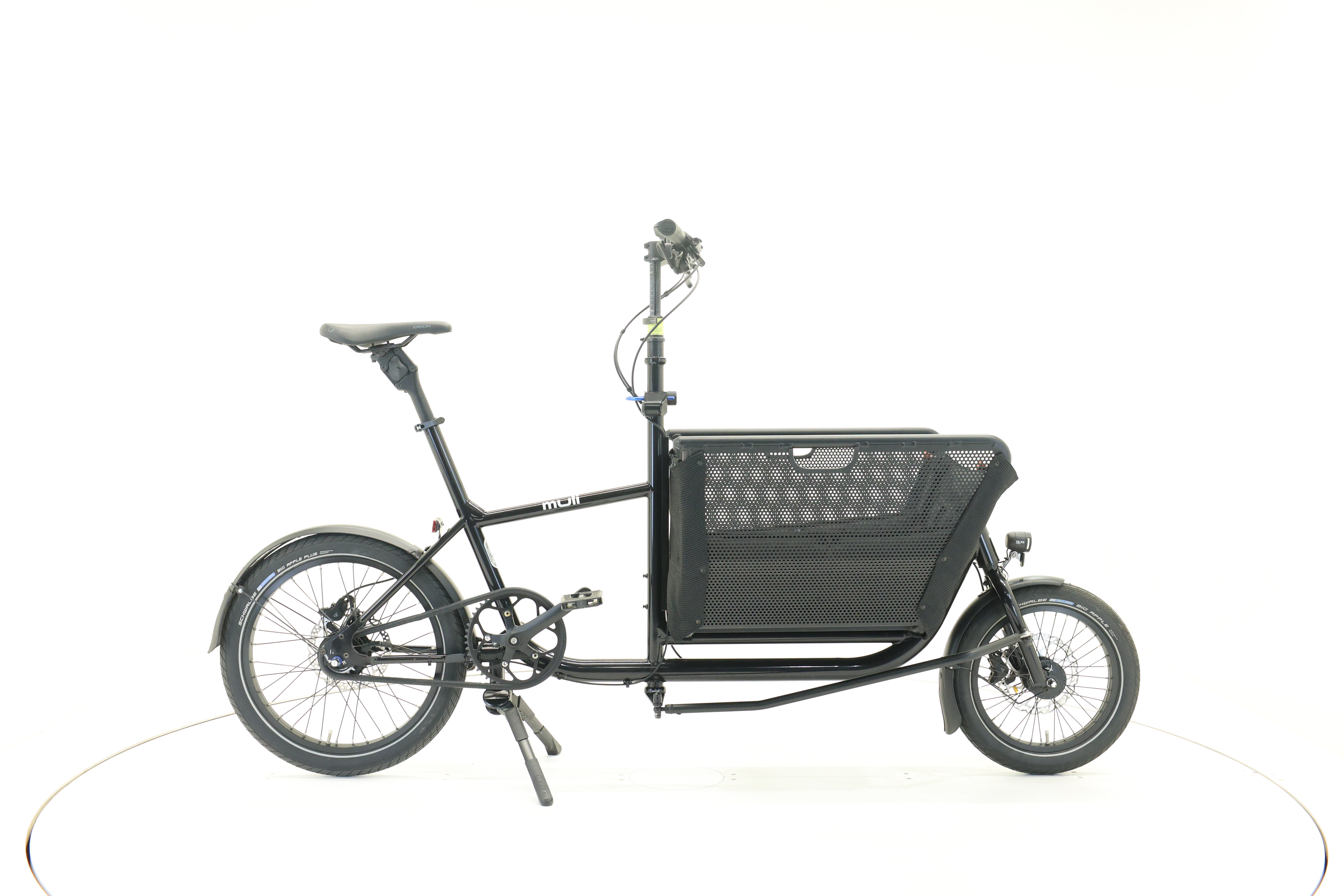 Muli Muskel, 49 cm, 2025, 0 km – Bild 1 von 5