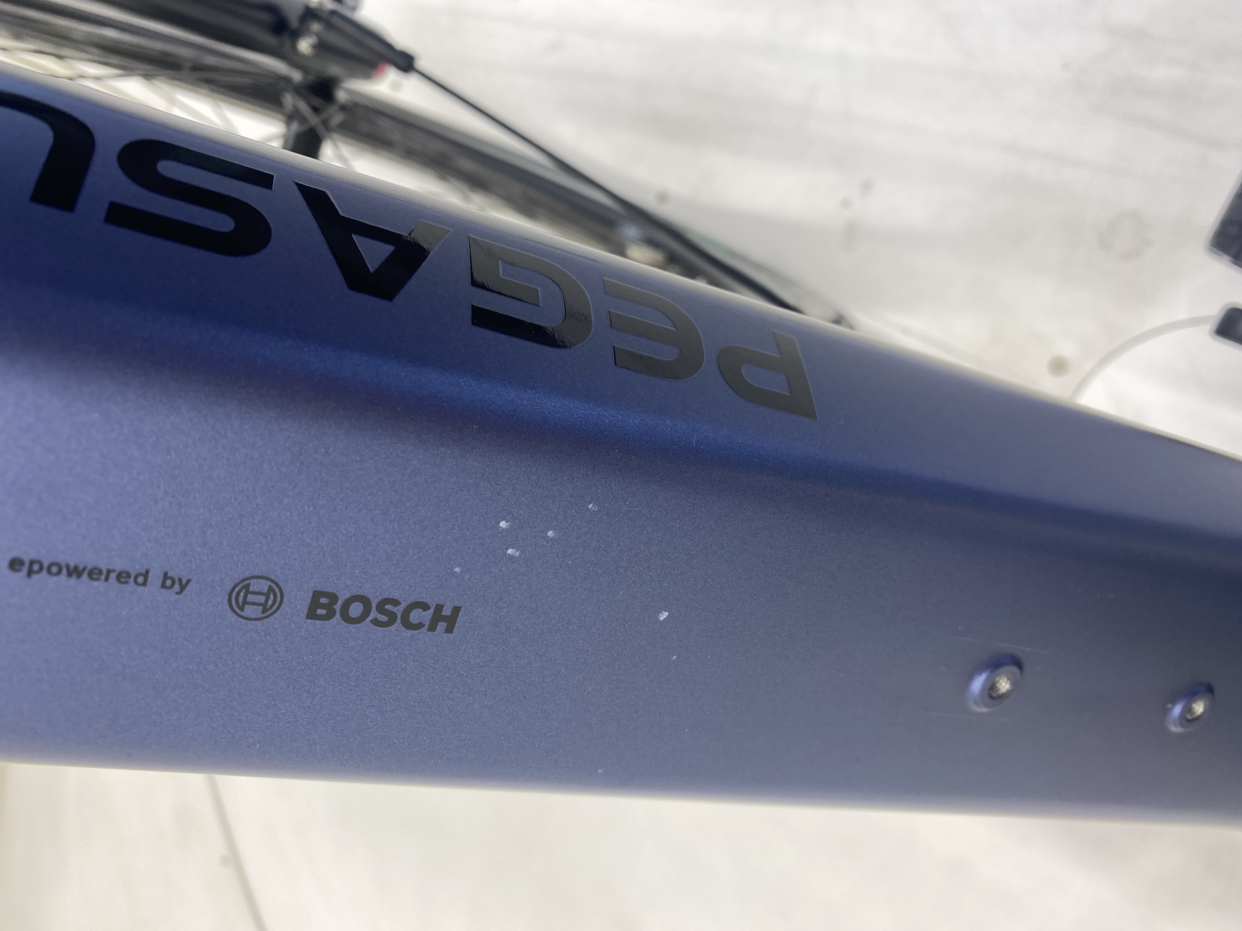 Pegasus Strong EVO 10 Lite