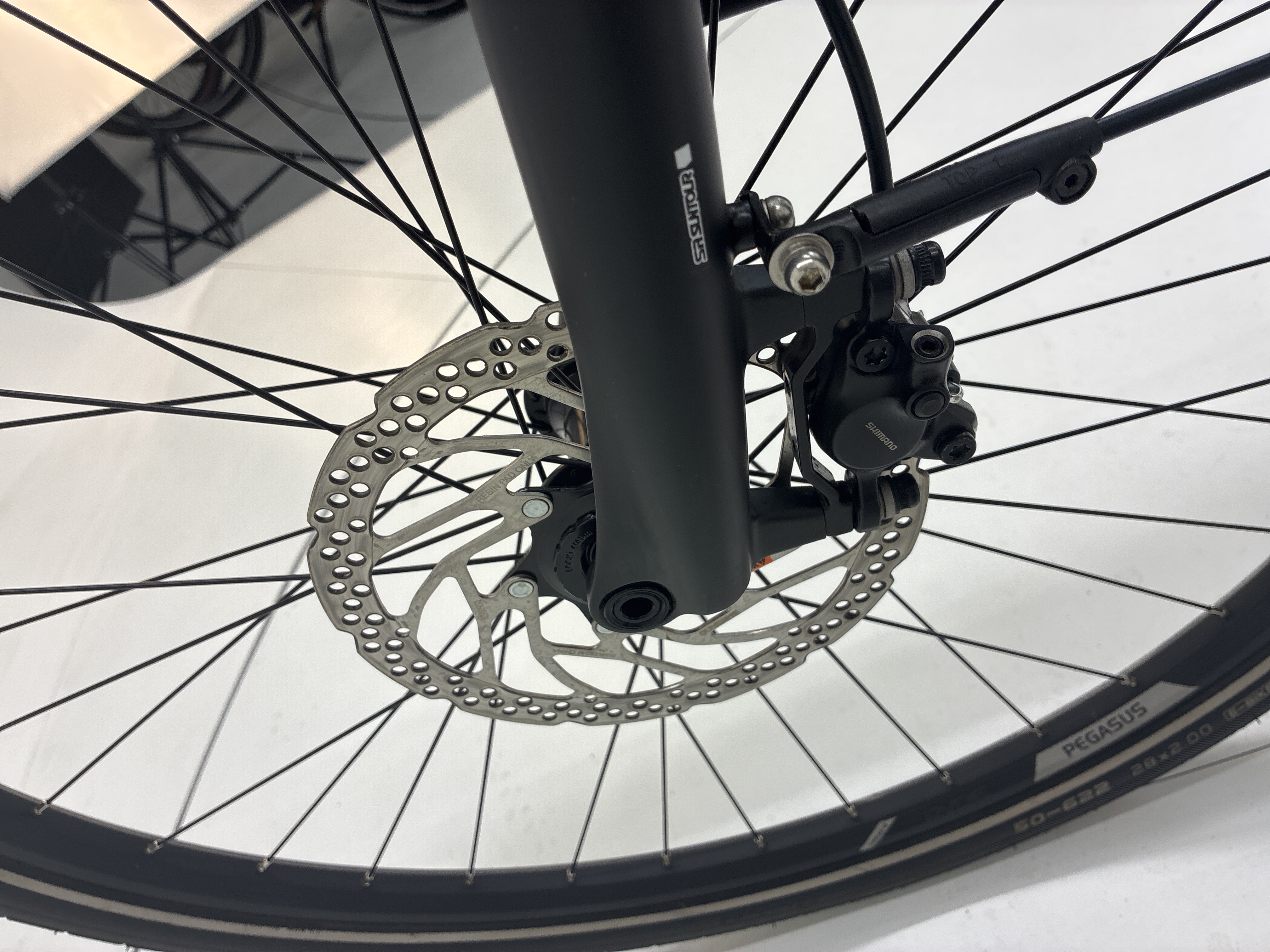 Pegasus Premio Evo 10 Lite, 55 cm, 2023, 252 km – Bild 32 von 33