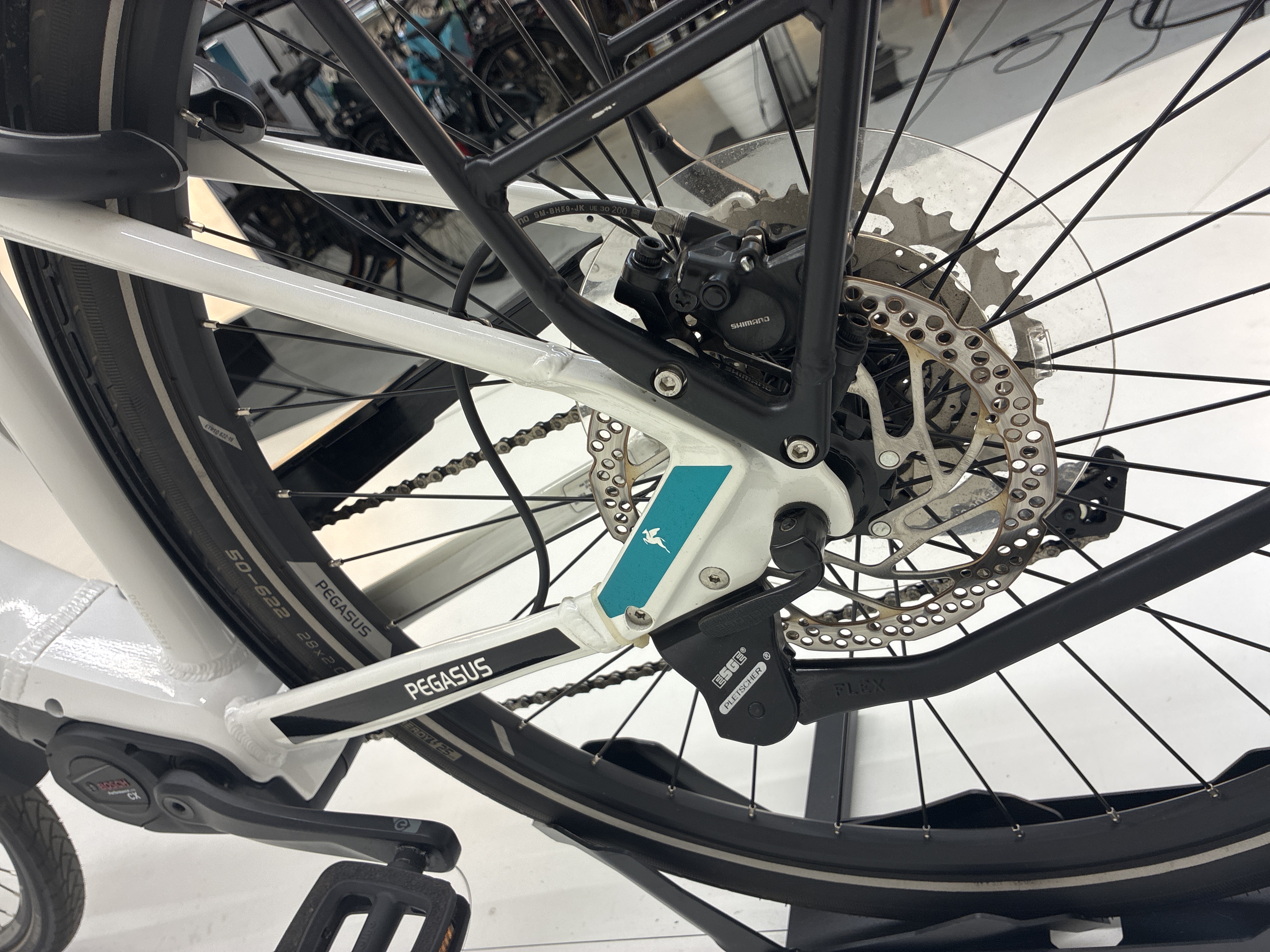 Pegasus Premio Evo 10 Lite, 55 cm, 2023, 252 km – Bild 12 von 33