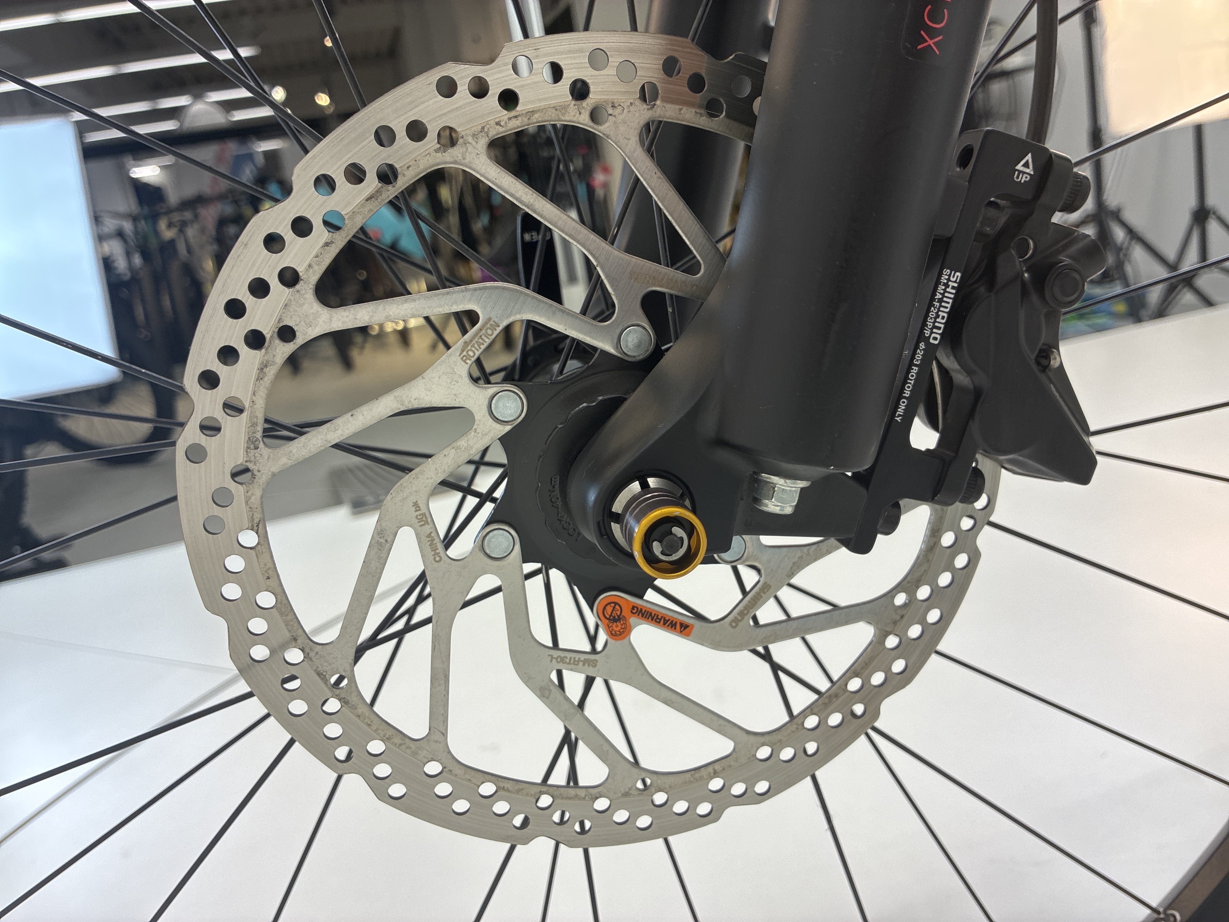 Bergamont E-Revox Premium Sport