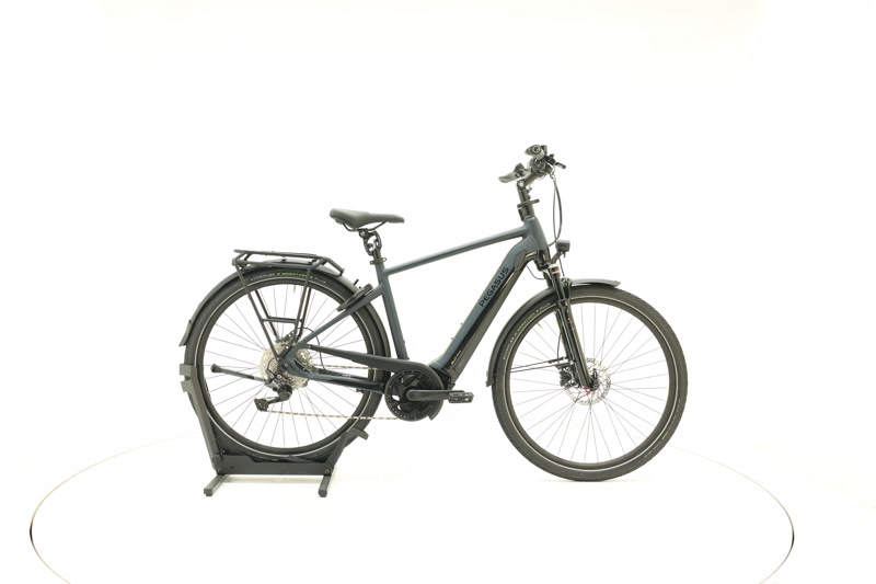 Pegasus Premio Evo 10 Lite Comfort He28, 50 cm, 160-169 cm, 2024, 781 km – Bild 4 von 23