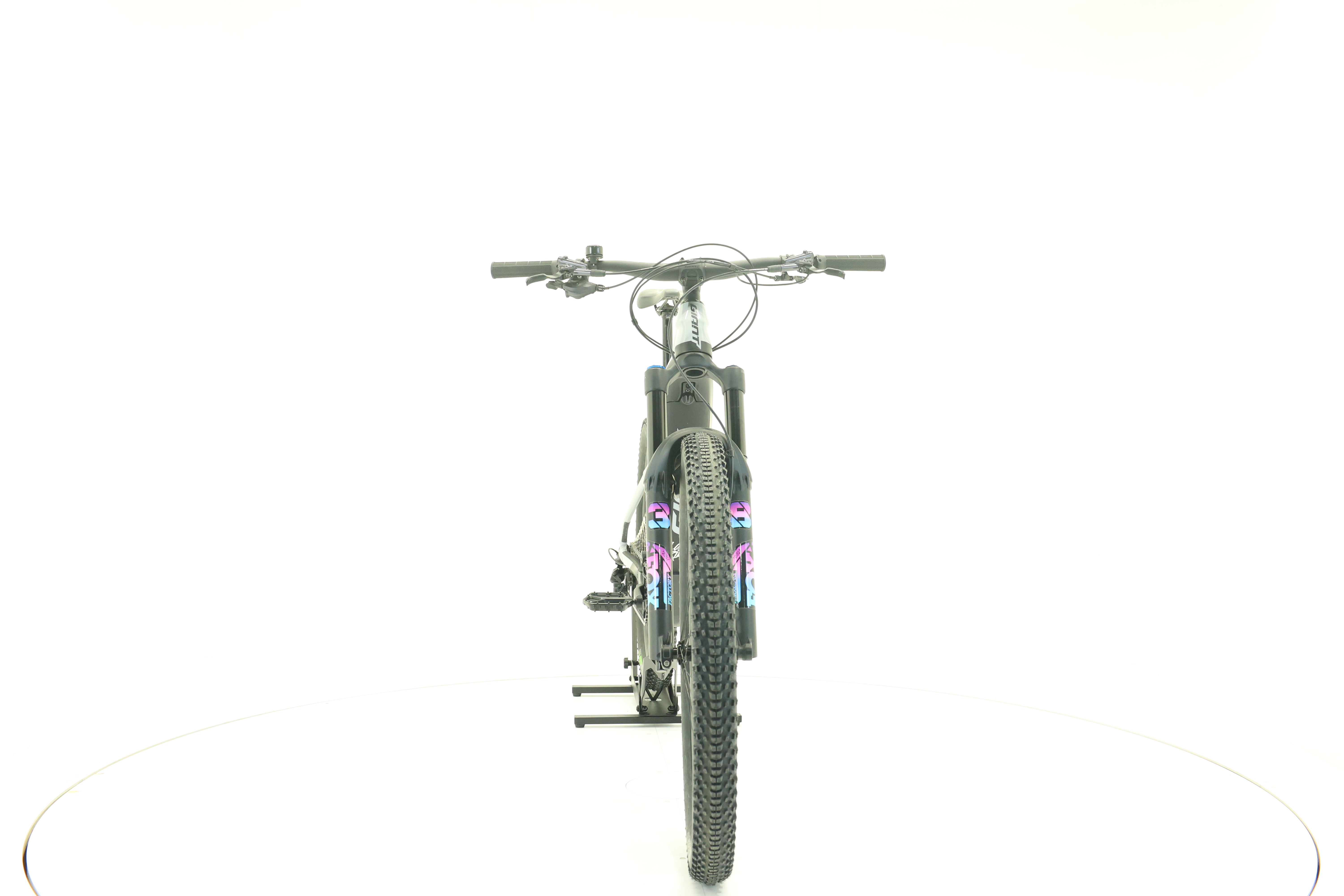 GIANT Reign E+1 Pro 750 Mullet