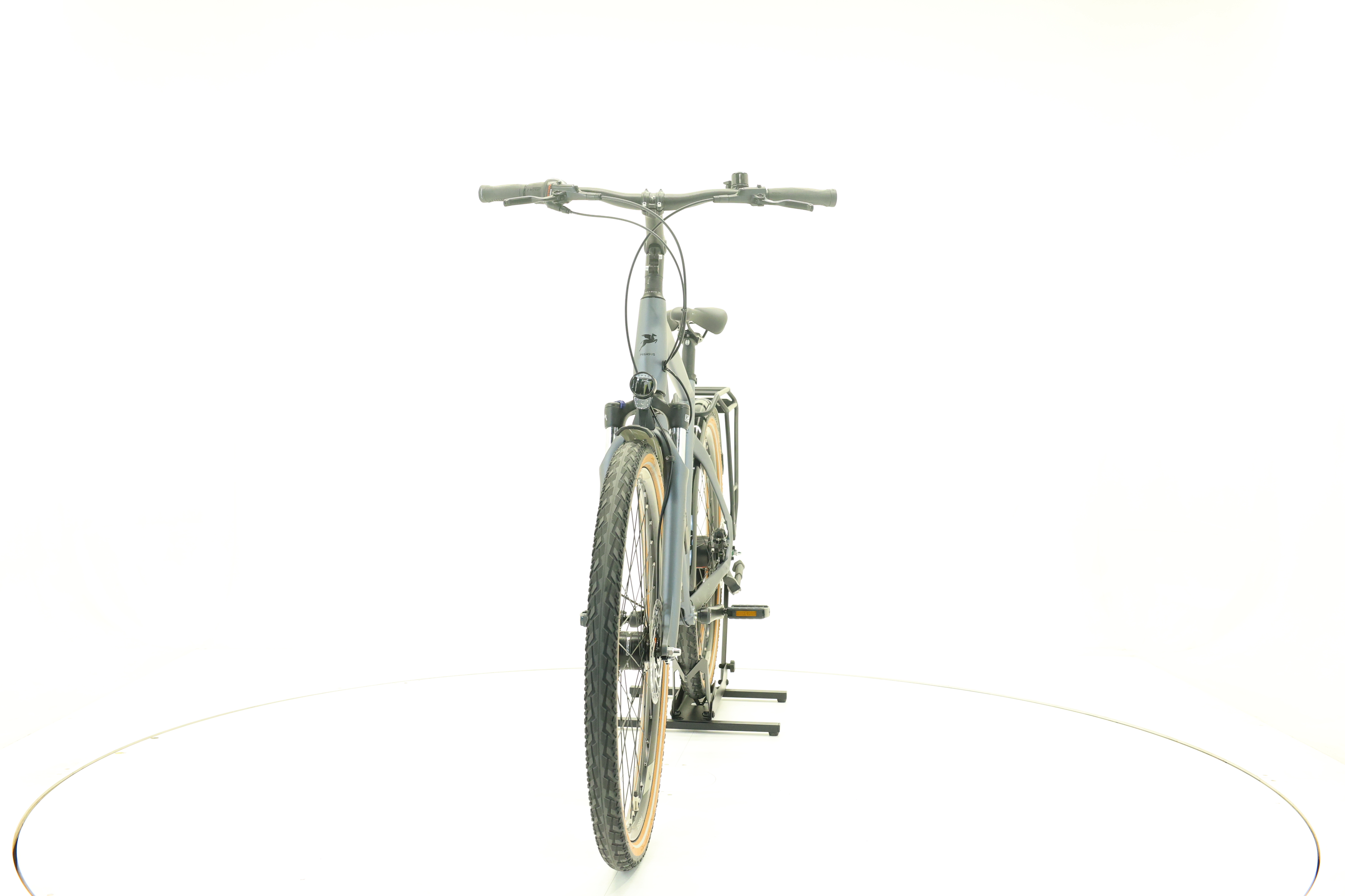 Pegasus Premio SL belt, 55 cm, 170-179 cm, 2025, 0 km – Bild 4 von 5