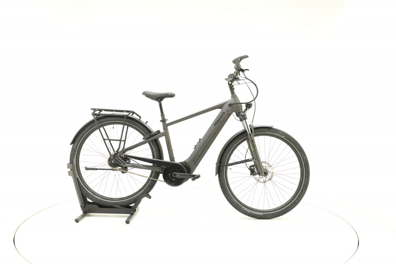 Pegasus Savino Evo 5R, 45 cm, 150-159 cm, 2023, 575 km – Bild 2 von 23