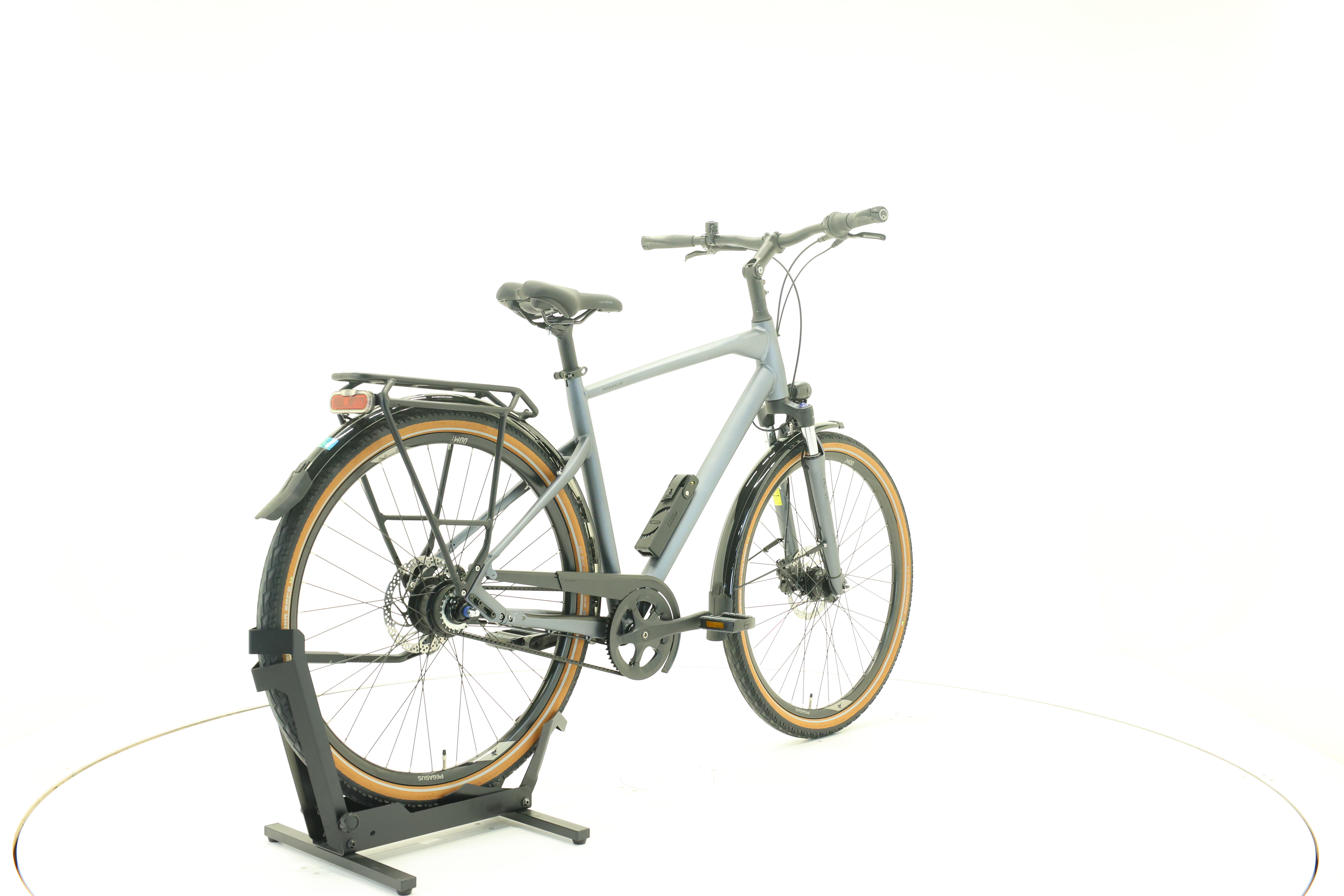 Pegasus Premio SL belt, 55 cm, 170-179 cm, 2025, 0 km – Bild 5 von 5