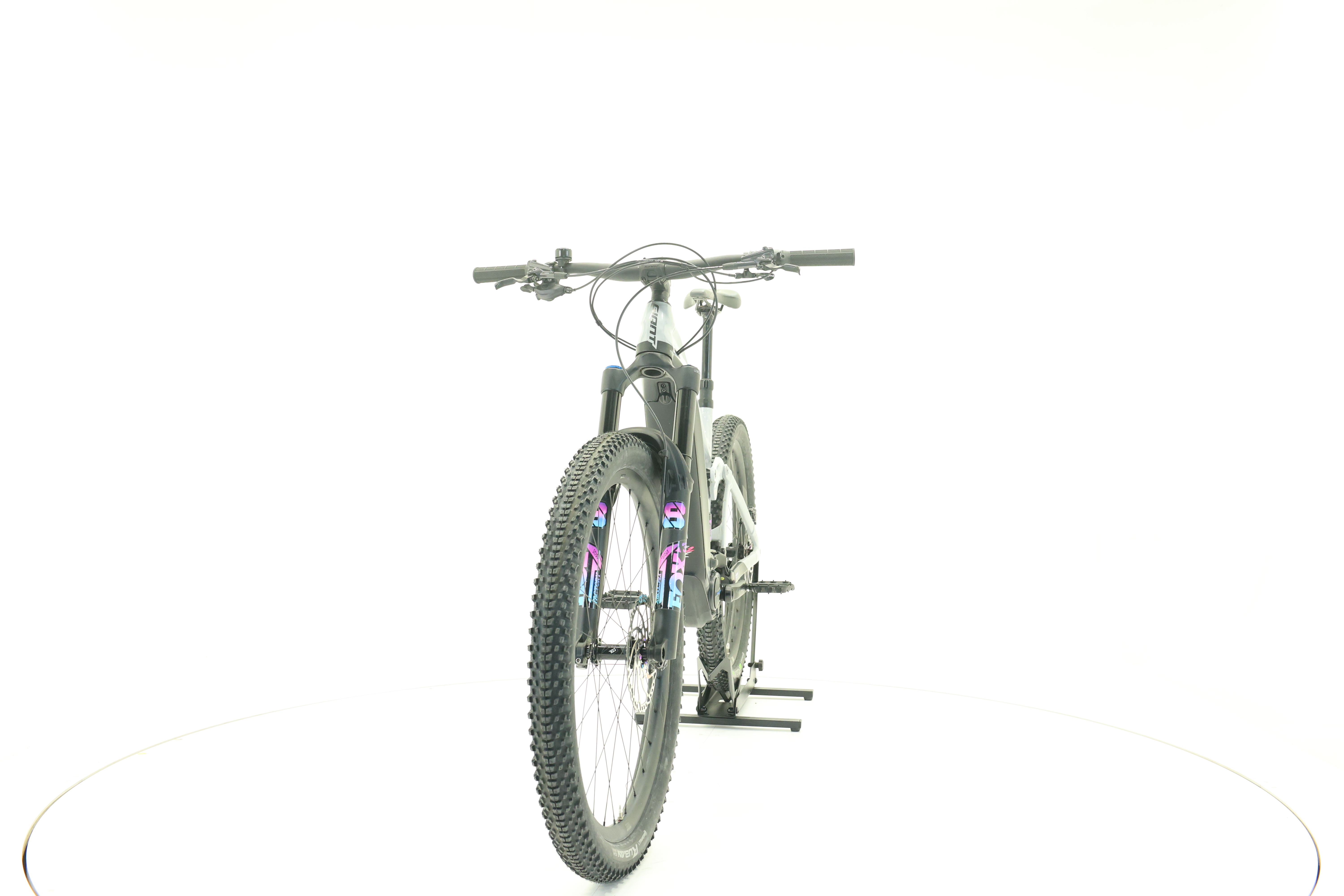 GIANT Reign E+1 Pro 750 Mullet