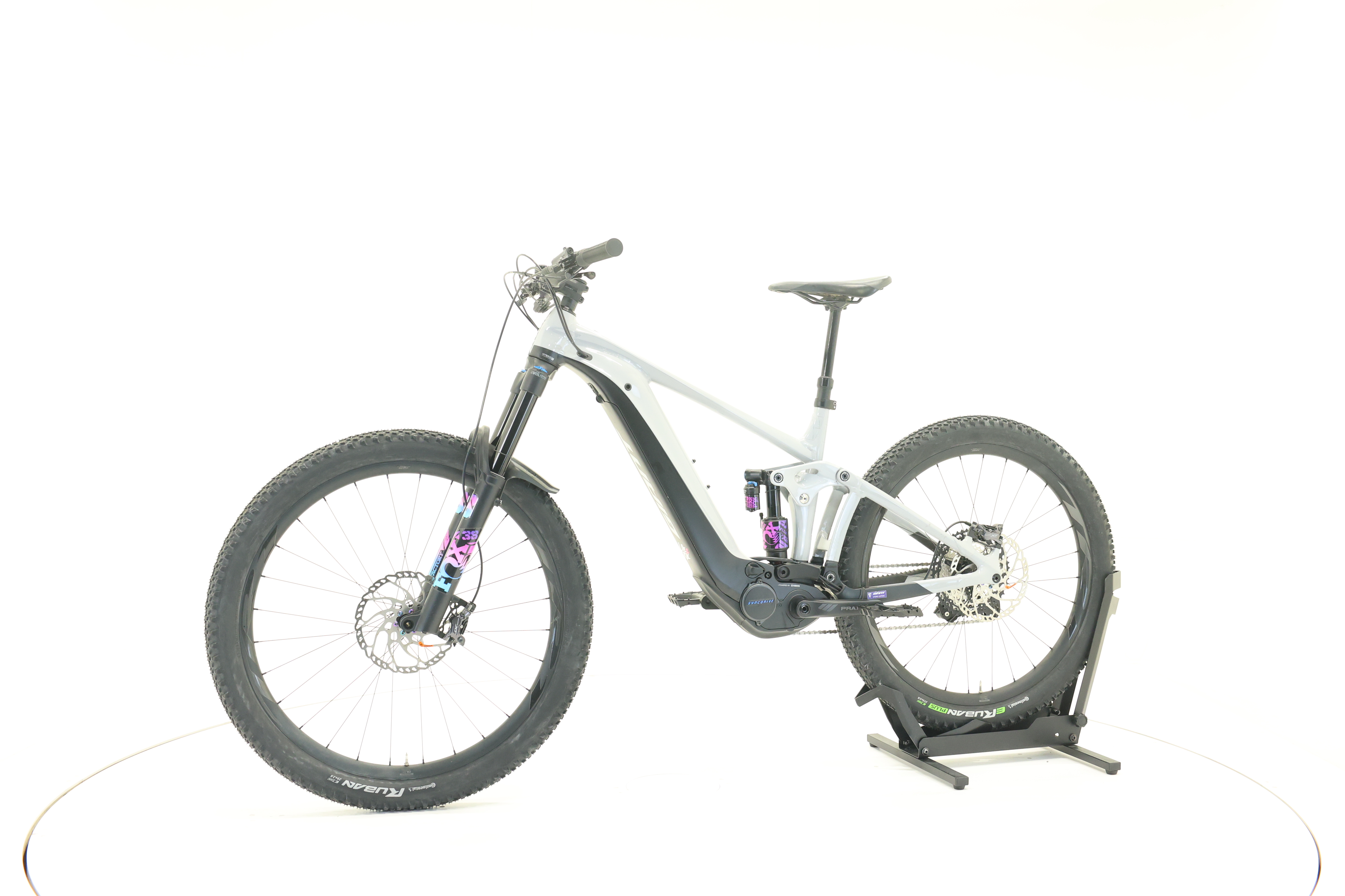 GIANT Reign E+1 Pro 750 Mullet