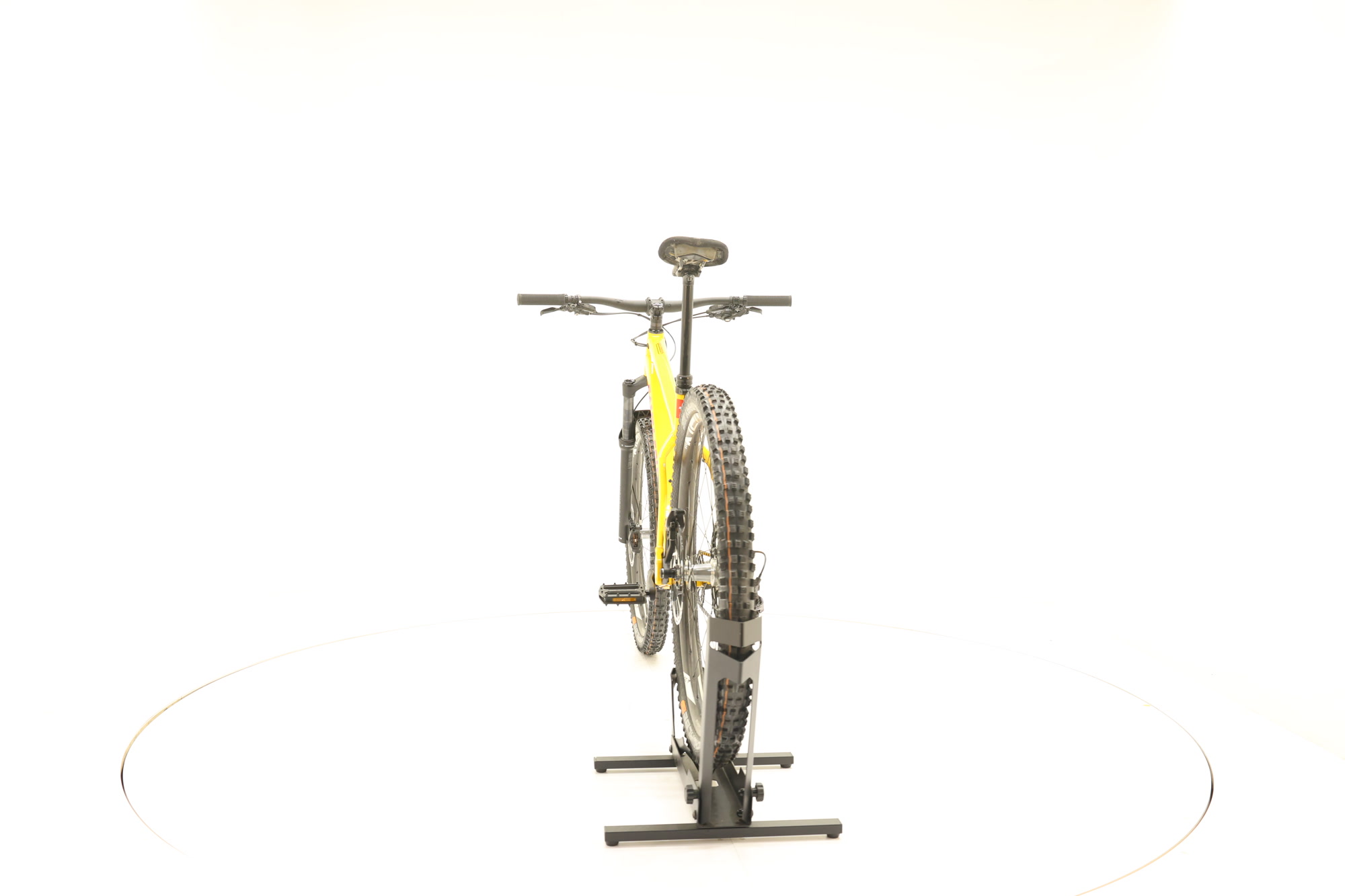 Santa Cruz Chameleon