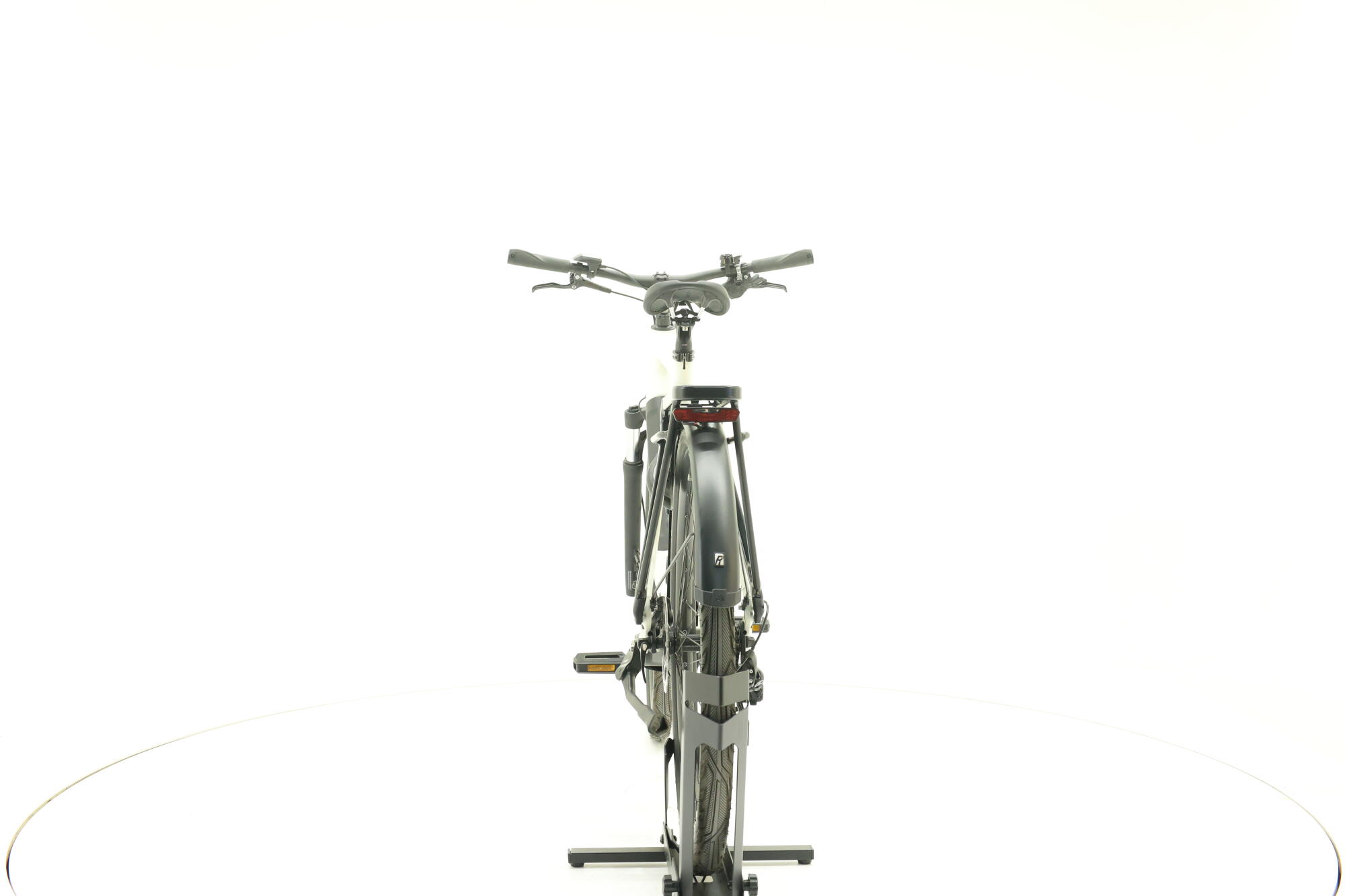 Rose Bikes Xtra Watt Evo Plus 1