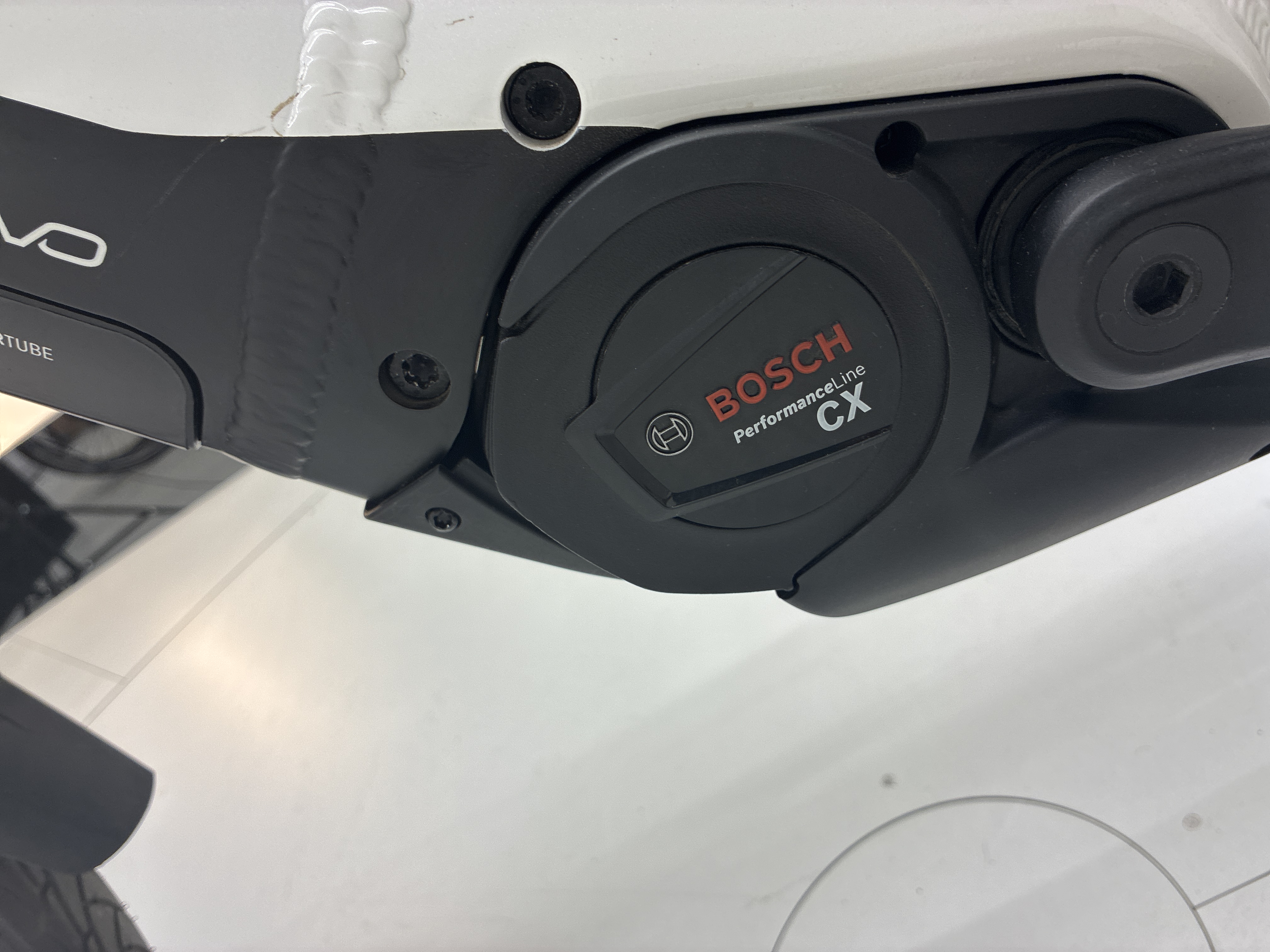 Pegasus Premio Evo 10 Lite, 55 cm, 2023, 252 km – Bild 25 von 33