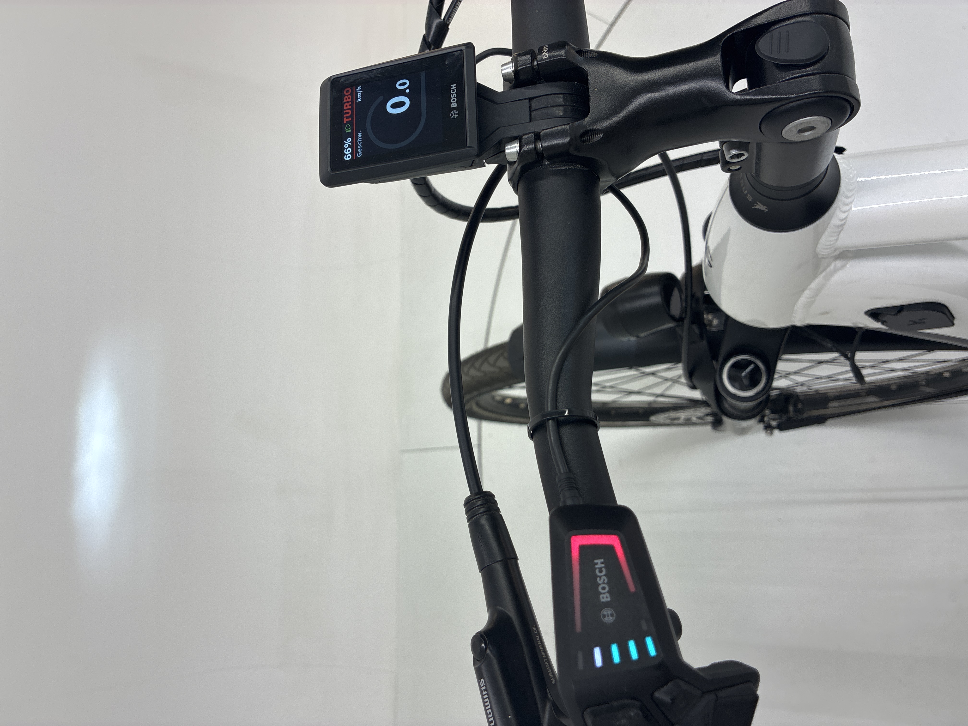 Pegasus Premio Evo 10 Lite, 55 cm, 2023, 252 km – Bild 30 von 33