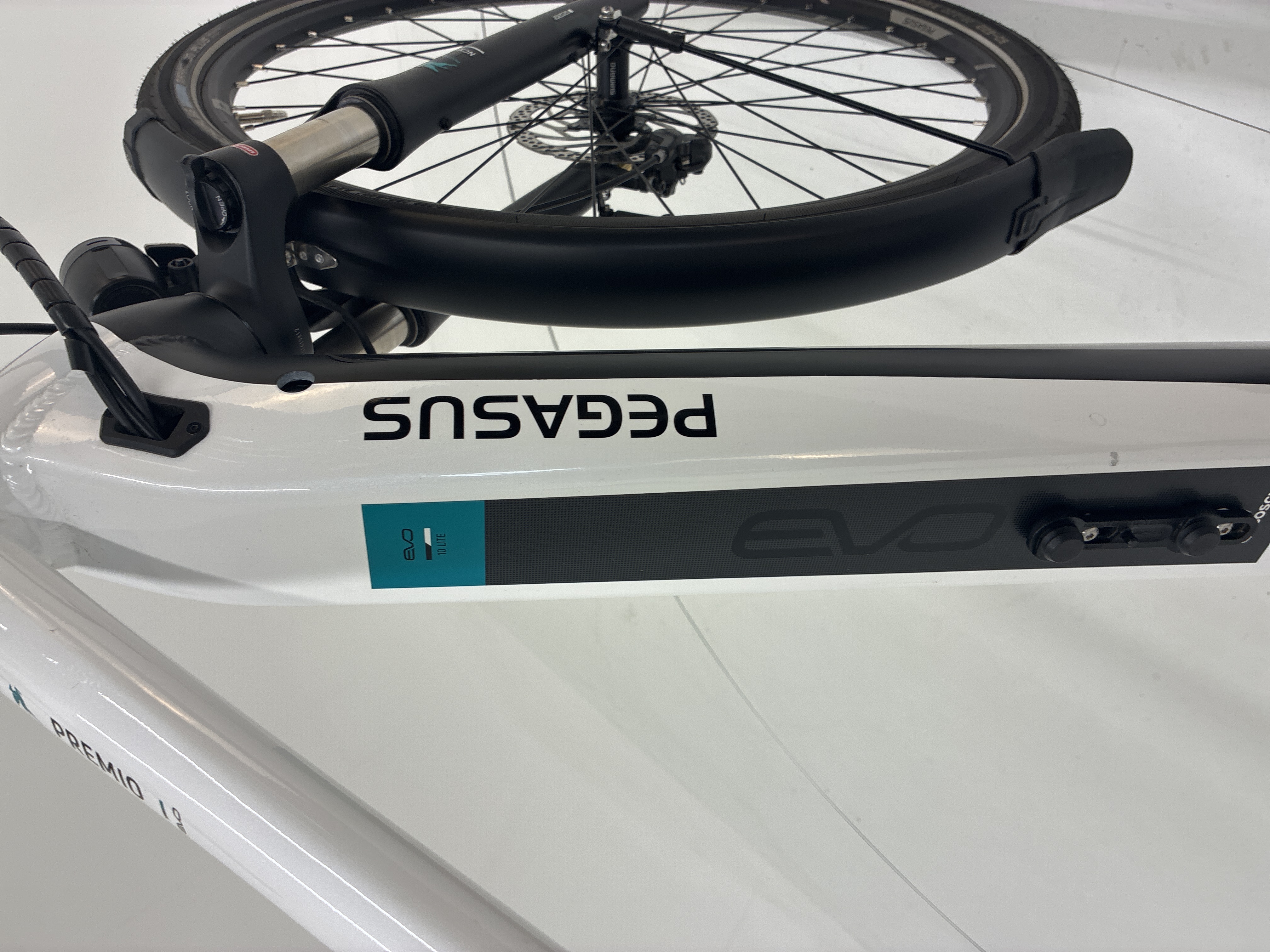 Pegasus Premio Evo 10 Lite, 55 cm, 2023, 252 km – Bild 33 von 33