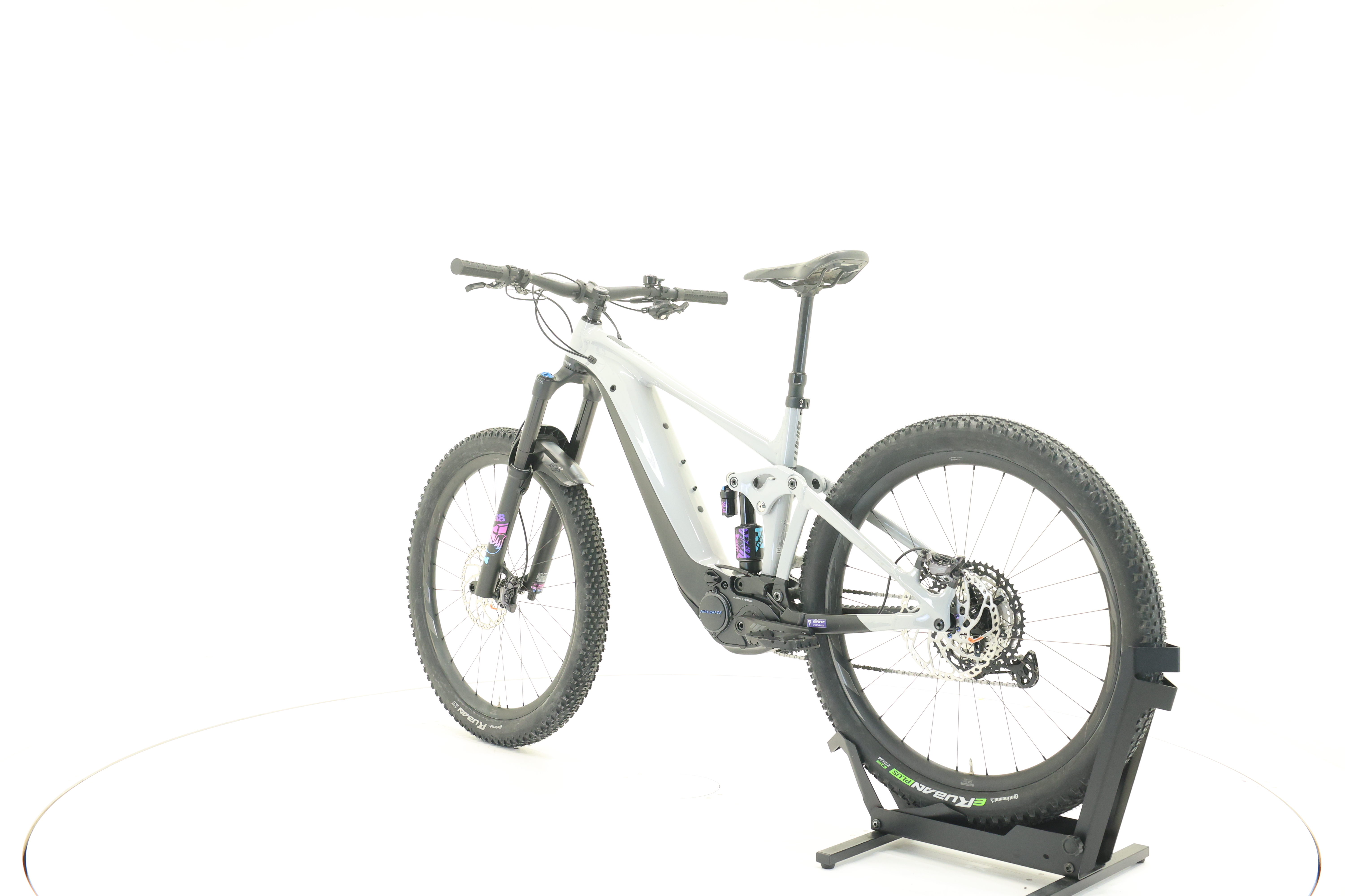 GIANT Reign E+1 Pro 750 Mullet